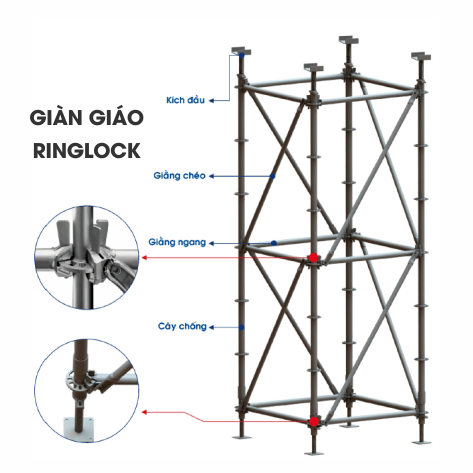 Bản Vẽ Giàn Giáo Ringlock Chống Sàn: Thiết Kế & Giá 