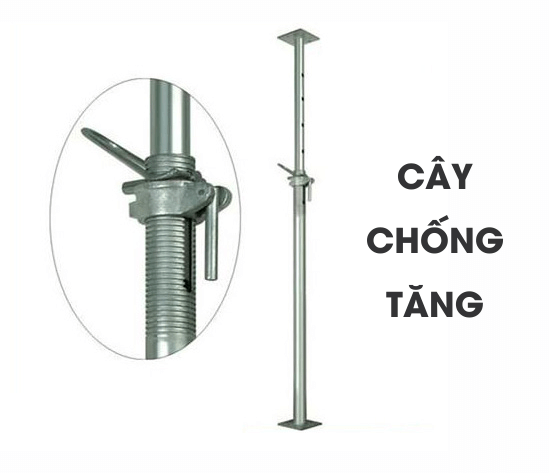 thue-chong-tang-sunny-gia-re